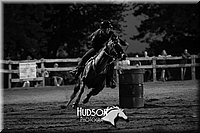 17. Clover Leaf Barrels Horse - Sr. Rider