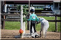 30. Miniature Horse - Trail Jr. Division