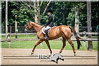 33. Open Trail Horses, Jr. Rider