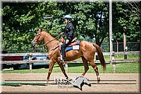 34. Open Trail Horses, Sr. Rider