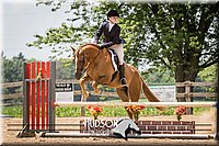 37. Low Working Hunter Horses