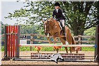 41. Low Equitation Over Fences - Sr. Rider