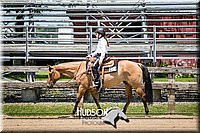 47. Western Pleasure Horses, Sr. Rider