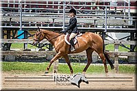 57. Breed Type Hunter Under Saddle Horses - Jr. Rider