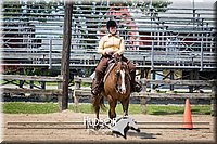 64. Western Horsemanship, Intermediate