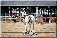 66. Beginner English Equitation