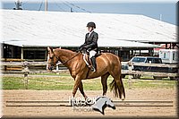 67. Hunter Seat Equitation (on the flat) - Sr. Division