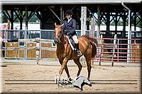 69. Hunter Seat Equitation (on the flat) - Jr. Division