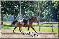 70. Novice Reining