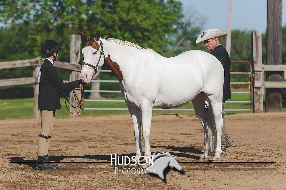 4H-3rd-080115-0738.jpg