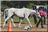 4H-3rd-080115-0804.jpg