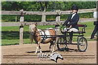 4H-3rd-080115-0890.jpg