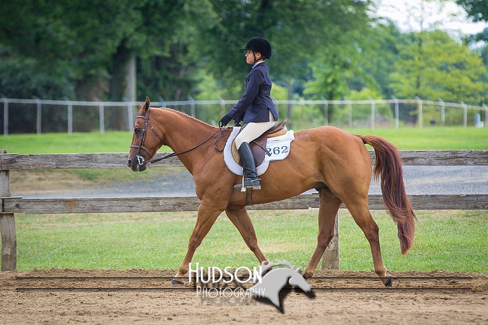 4H-3rd-080115-1517.jpg