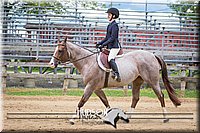 4H-3rd-080115-1692.jpg