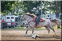 02. Clover Leaf Barrels Ponies -Jr. rider