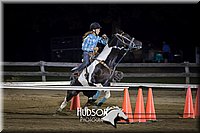 17. Raised Box Keyhole Horse - Sr. Rider