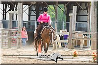 32. Open Trail Ponies