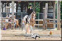 34. Open Trail Horses, Sr. Rider