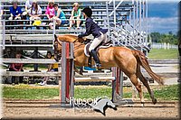 41. Low Equitation Over Fences - Sr. Rider