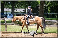 47. Western Pleasure Horses, Sr. Rider