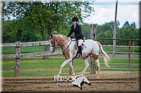 54. Classic Hunter Under Saddle Horses - Sr. Rider