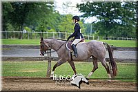 55. Breed Type Hunter Under Saddle Horses - Sr. Rider