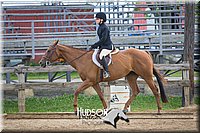 57. Breed Type Hunter Under Saddle Horses - Jr. Rider