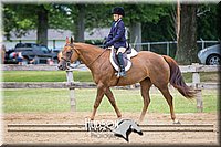 66. Beginner English Equitation