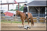 67. Hunter Seat Equitation (on the flat) - Sr. Division