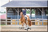 69. Hunter Seat Equitation (on the flat) - Jr. Division