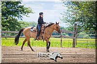 70. Novice Reining