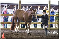 4H-District-15-0005.jpg