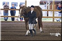 4H-District-15-0006.jpg