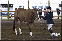 4H-District-15-0011.jpg