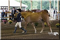 4H-District-15-0014.jpg