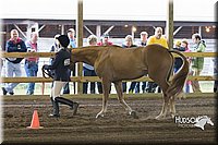 4H-District-15-0016.jpg