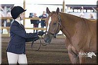 4H-District-15-0021.jpg