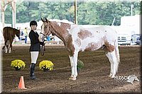 4H-District-15-0022.jpg