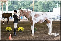 4H-District-15-0023.jpg