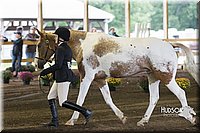 4H-District-15-0027.jpg