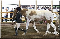 4H-District-15-0028.jpg