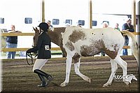 4H-District-15-0029.jpg