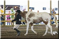 4H-District-15-0030.jpg