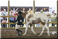 4H-District-15-0031.jpg