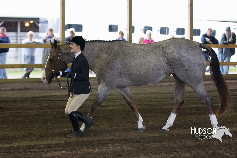4H-District-15-0080.jpg