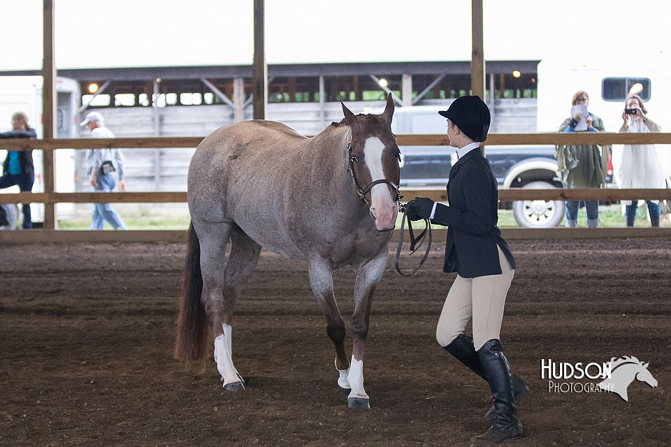 4H-District-15-0086.jpg