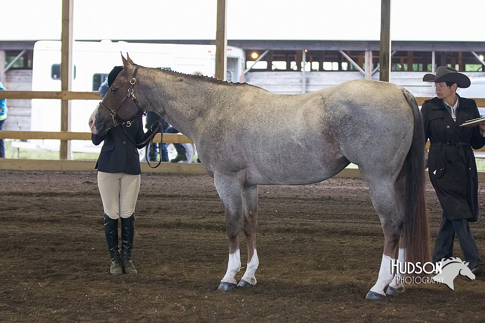 4H-District-15-0087.jpg