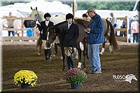 4H-District-15-0045.jpg