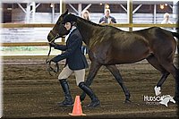 4H-District-15-0049.jpg