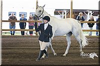 4H-District-15-0059.jpg